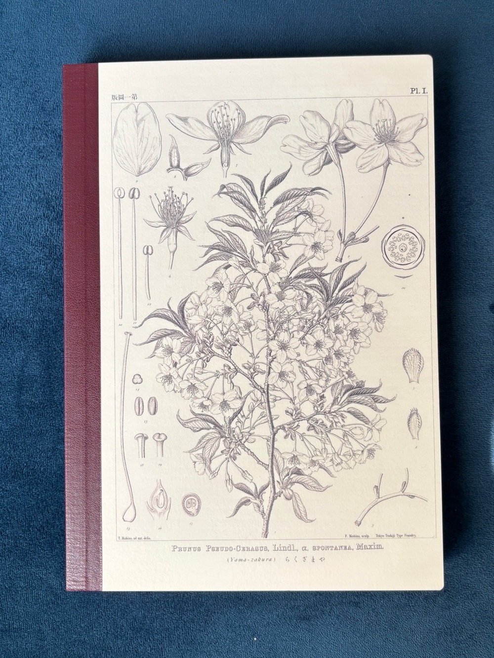 Tomitaro Makino Hobonichi A5 Graph Notebook - Yamazakura